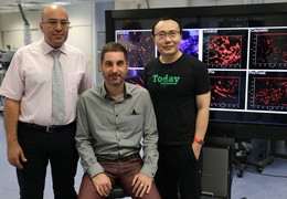 Research team members: (from left) Dr Hani El-Nezami, Dr Gianni Panagiotou and Dr Li Jun