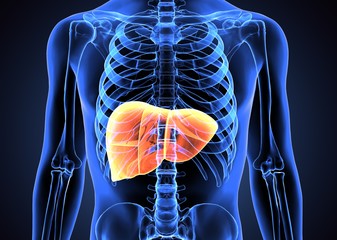 Fecal Microbial Biomarkers for Non-Alcoholic Fatty Liver Disease