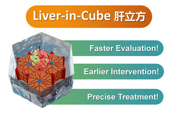 Liver-in-Cube
