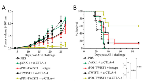 Figure 1. Checkpoint Modulation Enhances the Antitumor Activity of sPD1-TWIST1 Vaccination for Curing Established Mesothelioma