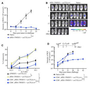Figure 2. Combination Therapy Induced Durable T Cell Immunity Responsive to an Immunodominant TWIST1 Epitope
