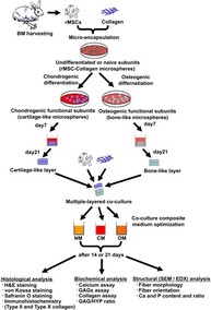 Technology Section Slider 1